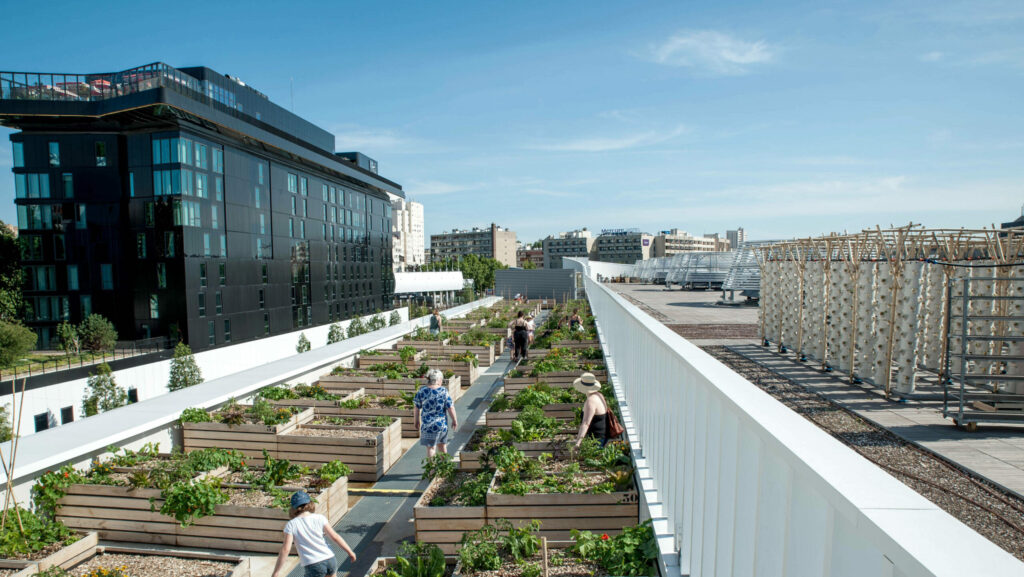 Debattenkompass: Wohlstand – Ausblick auf eine Stadt mit Urban- Gardening-Beeten und Menschen auf einem Dach.