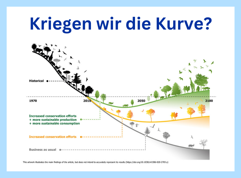 Infografik zum Schutz der Biodiversität